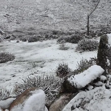 בית הארחה Vistafreita- &