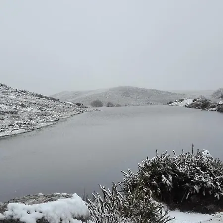 Vistafreita- & Gæstehus