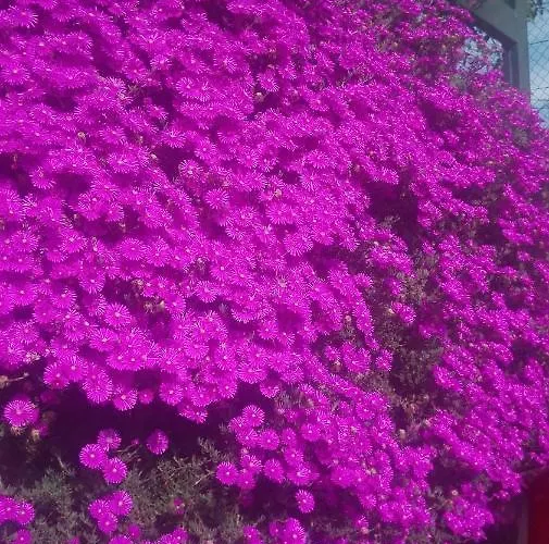 Gasthuis Vistafreita- & Arouca